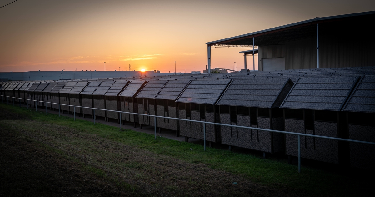 Service Across The South & Midwest USA Deer Hunting Blinds made in the USA